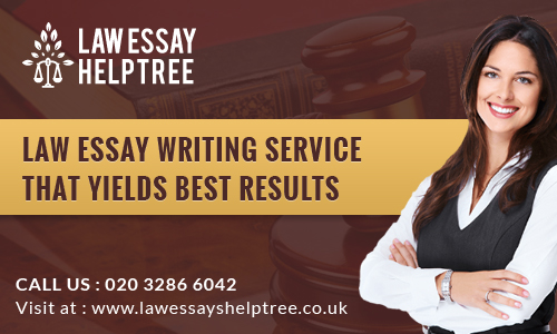law essay help tree